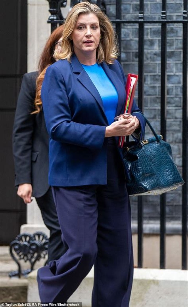 'Sexiest MP' Penny Mordaunt to make a Splash! on TV diving show in her swimsuit | London Evening Standard