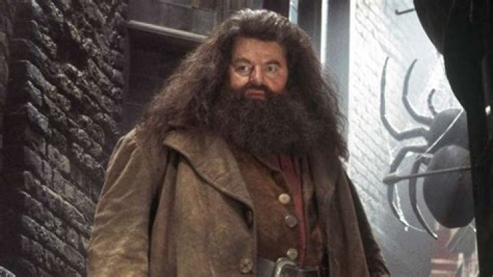 A Beloved Character Actor Gone Too Soon Rallshe