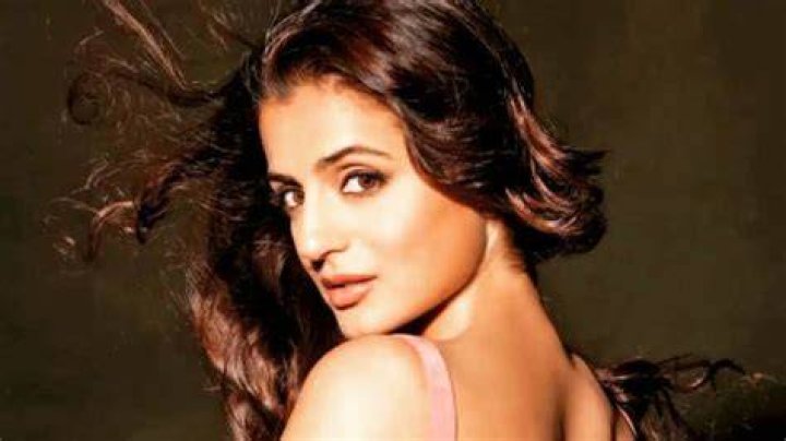 Ameesha Patel Net Worth 2023