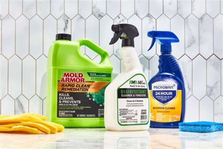 Best mould removers 2023 to keep your home fungus-free