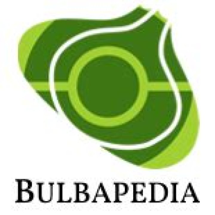 Category:FireRed and LeafGreen maps - Bulbagarden Archives