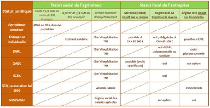 Choisir son statut agricole : un tableau pour s’y retrouver