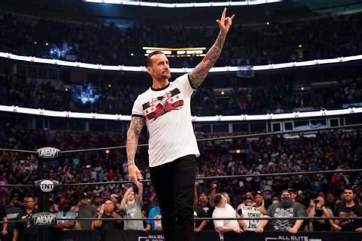 Did you know these facts about CM PUNK...
