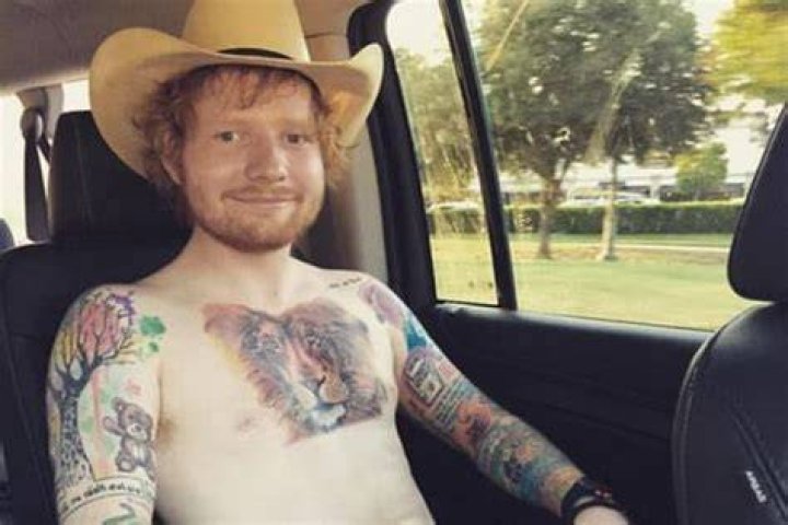 Ed Sheeran trademarks Teddy Bear logo as the face of his new food empire