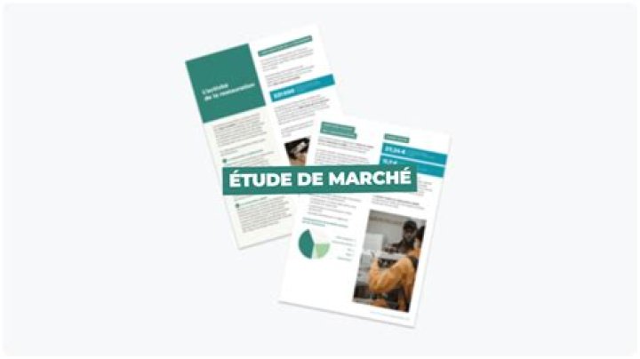 Etude de marché : exemple pdf vierge (gratuit)