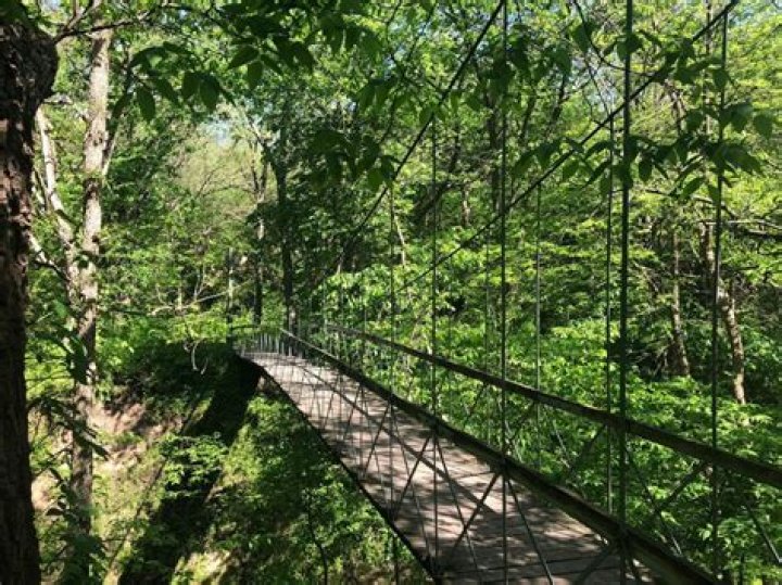 First Day Hike at Schramm Park SRA