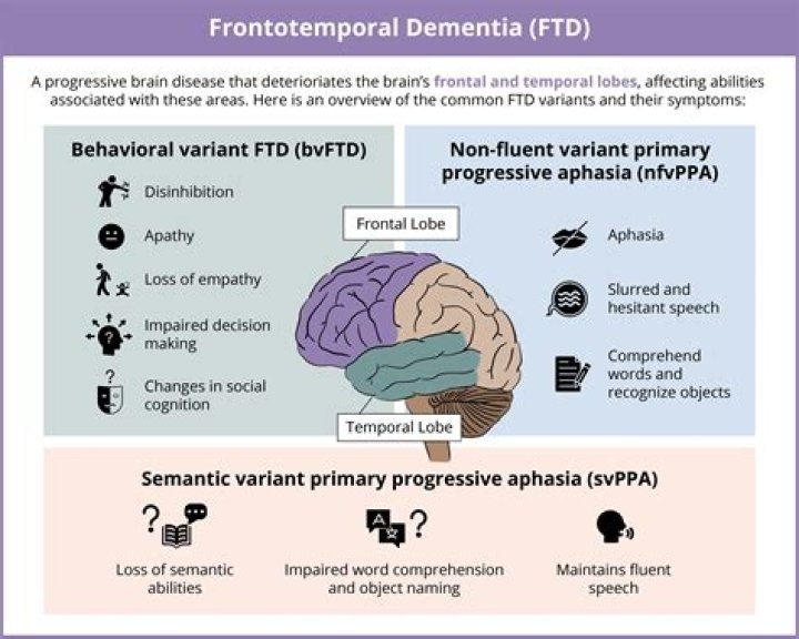 Frontotemporal lobar degeneration FTLD-tau: preclinical lesions, vascular, and Alzheimer-related co-pathologies - ePrints