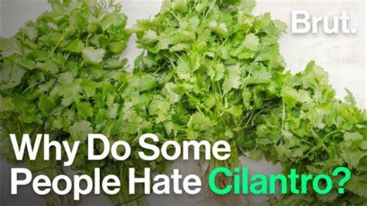 Here's Why Some People Hate Cilantro