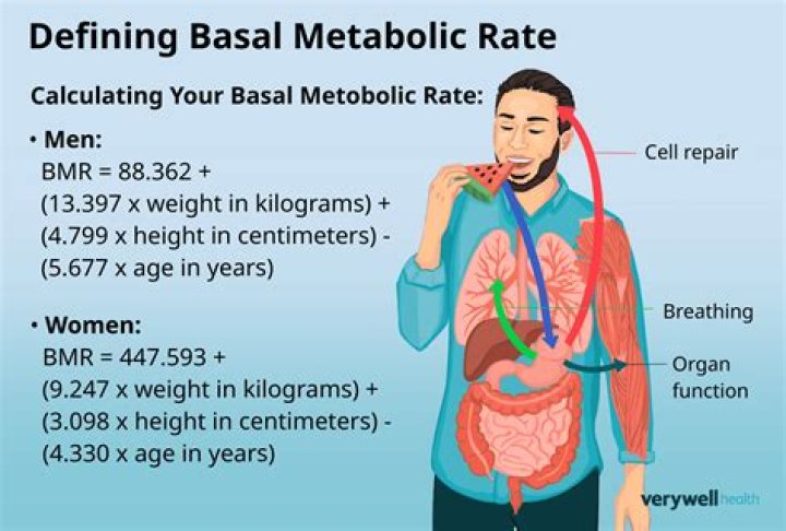How Is Metabolic Health Measured?