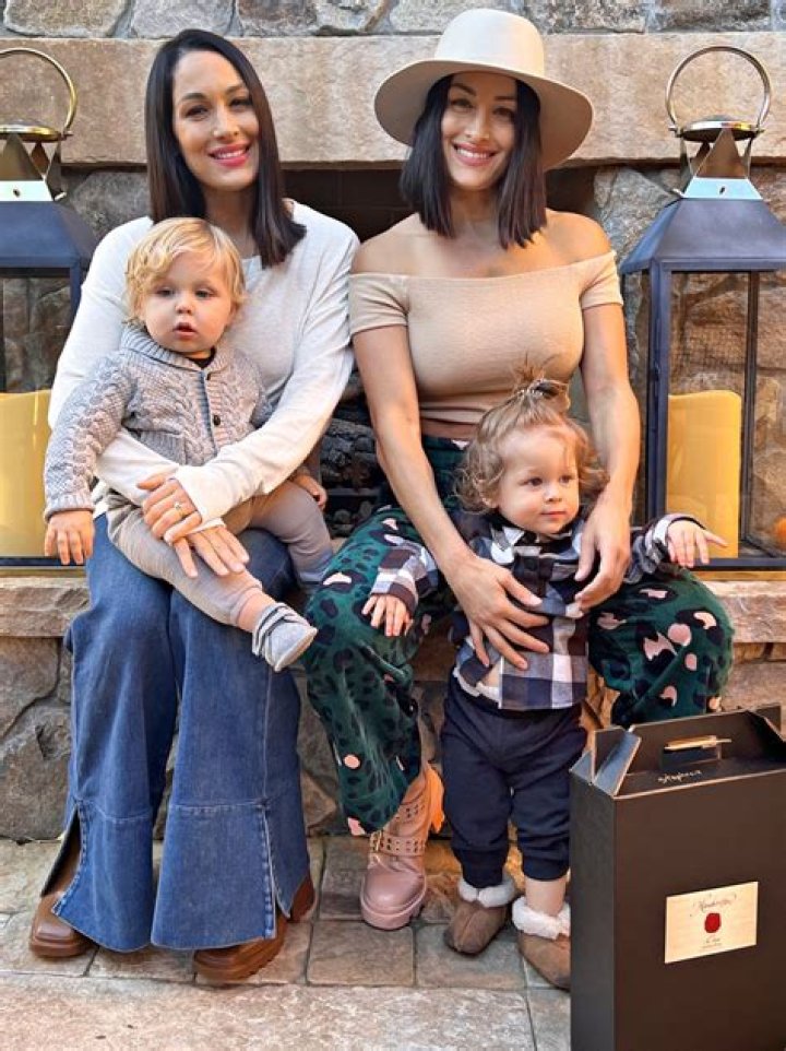 Is Nikki Bella Pregnant? Here’s What We Know