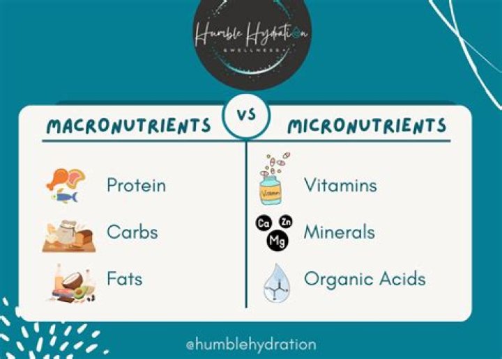 Macronutrients vs. Micronutrients: Basics + Tips | Signos
