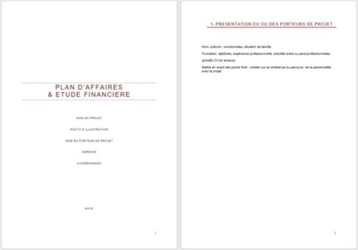 Modèle plan d’affaires Word gratuit : trame séduisante