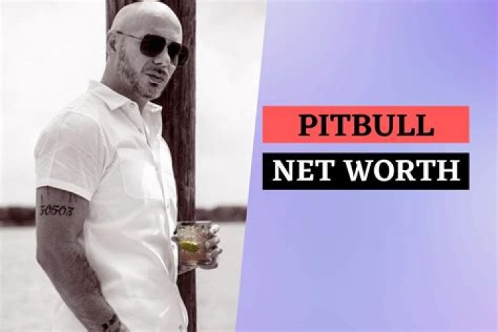 Salary, Income, Net Worth: Pitbull - 2024