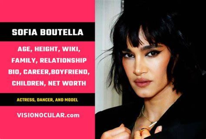 Sofia Boutella (Actress) Bio, Wiki, Age, Dancing, Husband, Net Worth