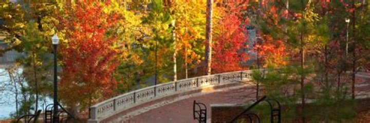 SPCS Academic Catalog - School of Professional & Continuing Studies