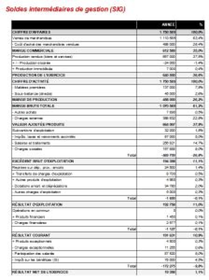 Tableau Excel SIG vierge à remplir : idéalement présenté