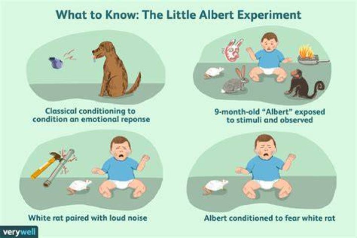 The Little Albert Experiment: A Case Study for Unethical Science