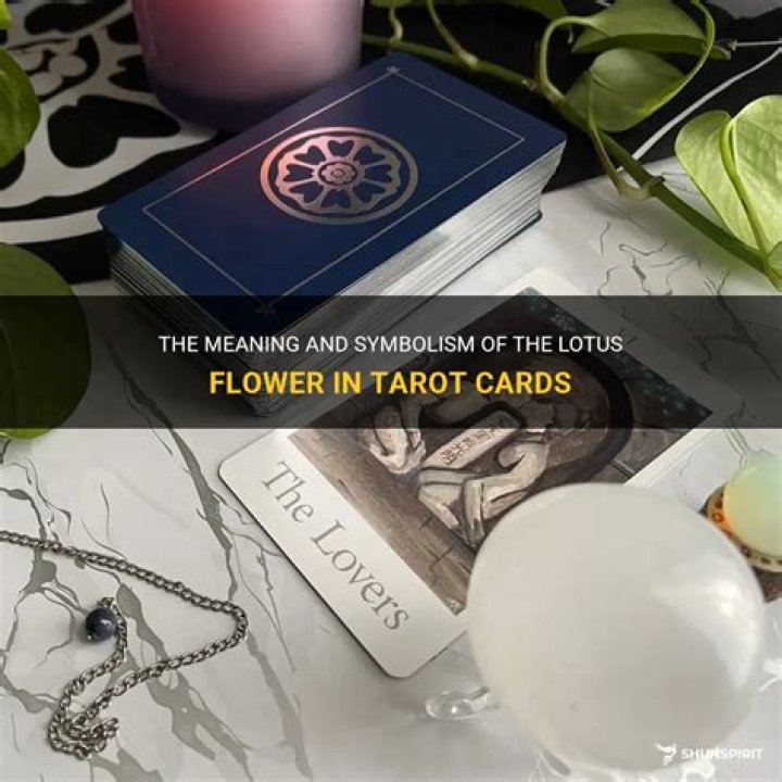 The Lotus Tarot Deck Cards and Meanings