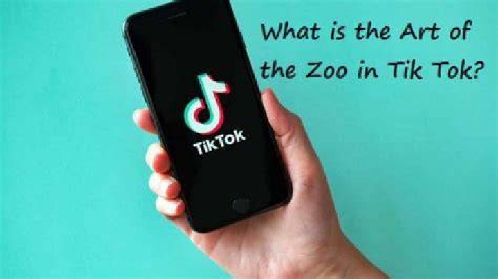 Tiktok Trend: Art of Zoo, What is it ?