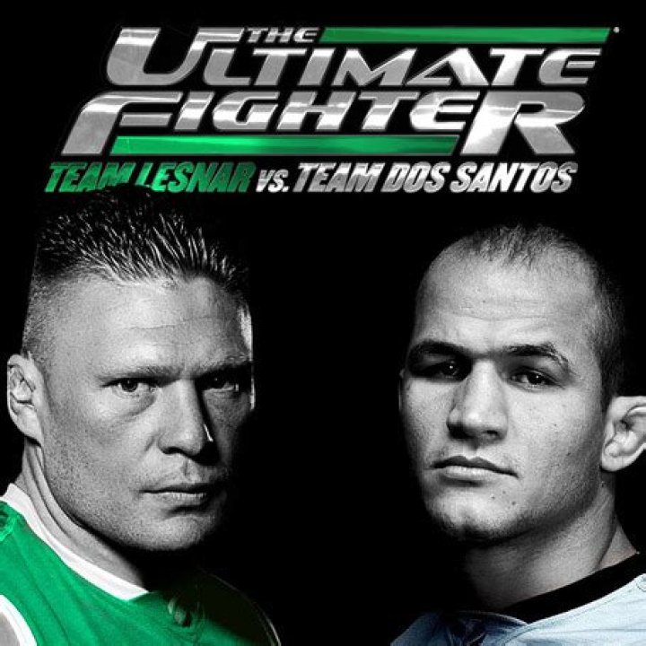 TUF 13 Team Lesnar vs. Team Dos Santos