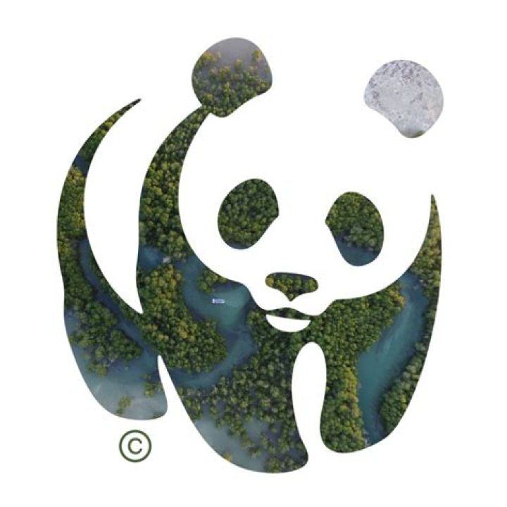 Use of the WWF logo tonite on Raw??