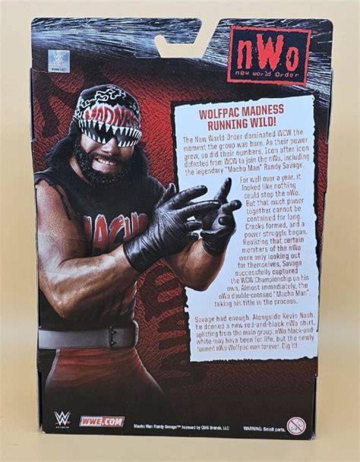 What if the Macho Man led the nWo?