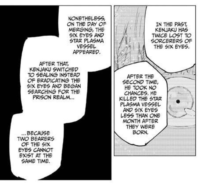 What is a Star Plasma Vessel in Jujutsu Kaisen and why is Riko so important?