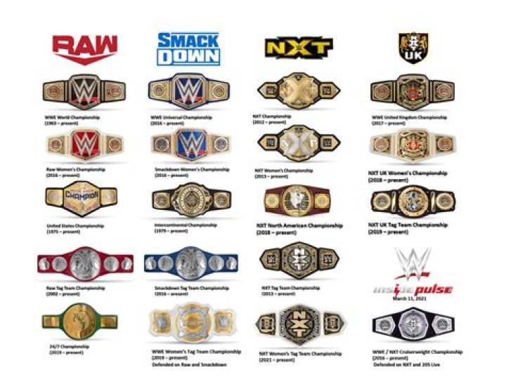 What Titles should the WWE Have?