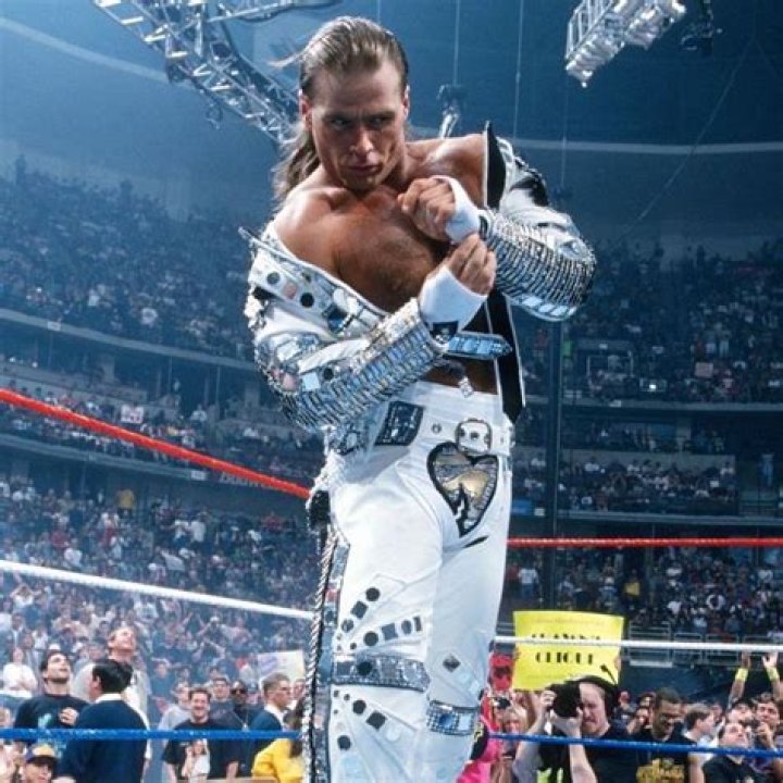 Wrestlemania 11: A Retrospective Look
